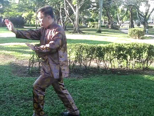 Sun Style Taijiquan